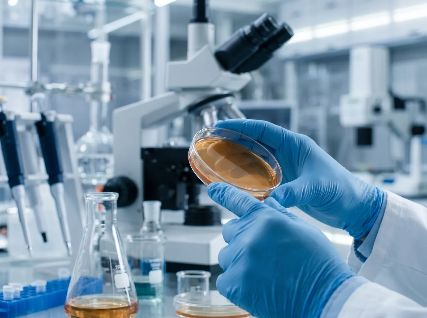 Researcher holding a petri dish in a lab